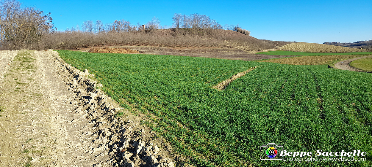 20230110_151129 - Dalla terra... il grano.jpg